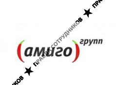 Амиго-групп 