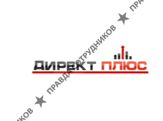 ДИРЕКТ ПЛЮС (Резяпова Л.И.) 