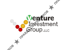 Venture Investment Group 