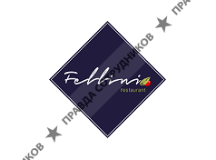 Фэмили групп 