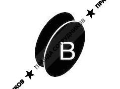 Blinkers очки и линзы 