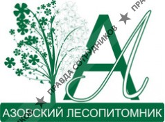 Азовский лесопитомник 