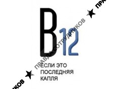 Управляющая компания В12 