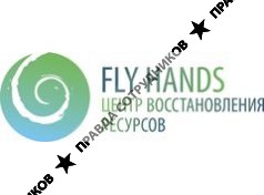 FlyНands 