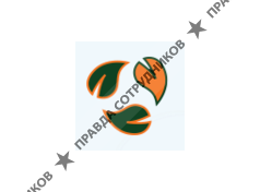 СК ТРИНИТРАССА 