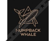 Humpback Whale 