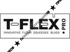 Ти Флекс Клининг Системс Рус 