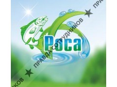 РОСА