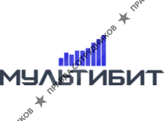 Мультибит 