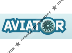 Гостиничный комплекс Авиатор 