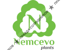 Плодовый коллекционный питомник Немцево 