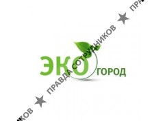 Ворончихина Ю.В. 