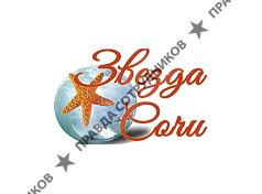 Звезда Сочи 