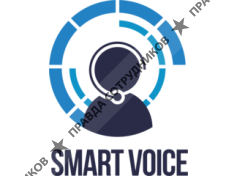 RT-Voice 
