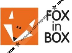 FOX in BOX 