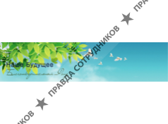 Благотворительный фонд Наше Будущее 