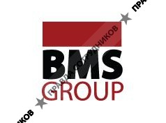 Группа компаний BMSGroup 