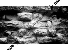 Лобода Кирилл Владимирович 