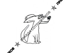 Ветпремиум 