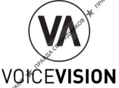 vOICe vision