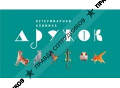 Дружок