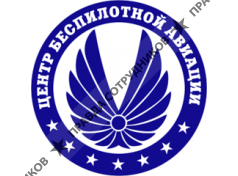 Центр беспилотной авиации 