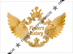 История цветов 