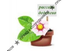 Черносвитова Татьяна