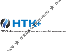 НТК+ 