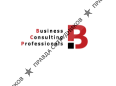 Business Consulting Professionals 