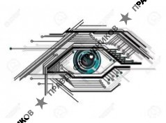 Гаврилин Е. В. 