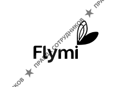 Ювелирный дом Flymi