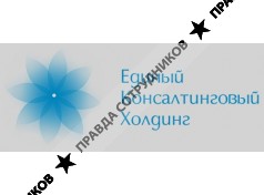 Единый консалтинговый холдинг