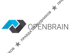 ООО АЙТИ БРЭИН