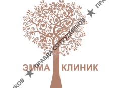 Многопрофильный медицинский центр Эммаклиник