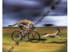 ОАО Бусиновский МПК