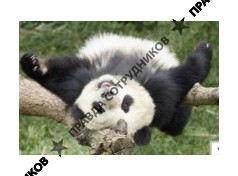 Московская зеркальная фабрика Нагорная 17