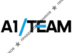 A1 Team