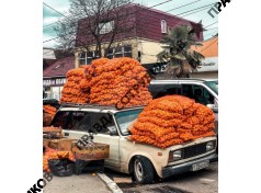 ООО РОСВЕНТ