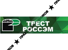 ООО "Трест Росспецэнергомонтаж"