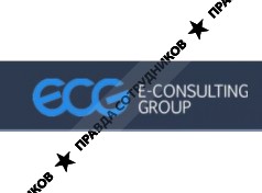 E-consulting group