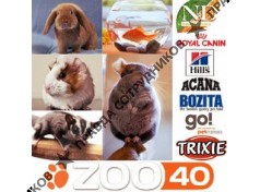 ИП Иванишина Елена Ивановна