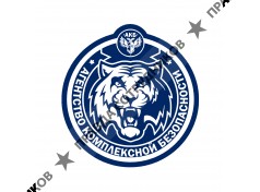 Агентство комплексной безопасности