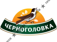 Черноголовка