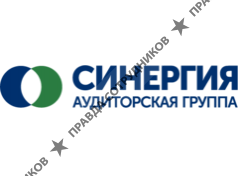 Аудиторская Группа Синергия