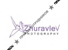 Zhuravlevstudio