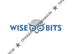 Wisebits