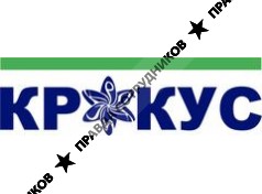 Web-студия Крокус