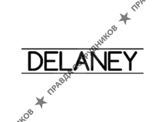 Web-студия Delaney