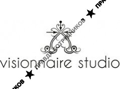 ООО Visionnaire Studio